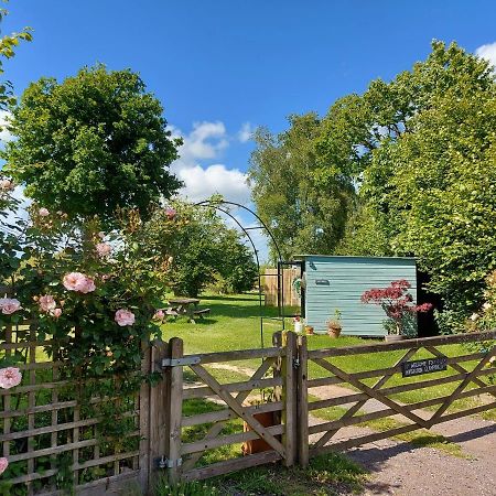 Hopgarden Glamping Luxury Shepherds Huts Wadhurst Экстерьер фото
