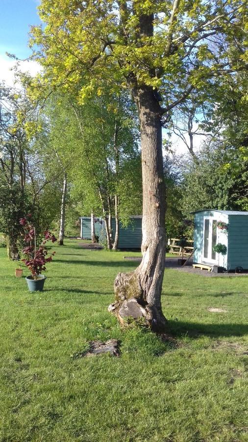 Hopgarden Glamping Luxury Shepherds Huts Wadhurst Экстерьер фото
